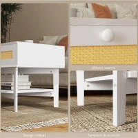 HOMCOM Măsuță de Cafea Dreptunghiulară cu 2 Sertare, Măsuță de Cafea Boho Joasă din Ratan și Lemn, 120x50x50 cm, Alb și Lemn(m-5)