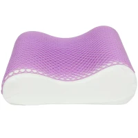 HOMCOM TPE Memory Foam Pillow for Pain Relief, Neck Pillow, 2S Slow-Rebound, 2 Height Design for Side Back Stomach Sleeper, Fits Standard King Queen Beds, Purple(m-10)