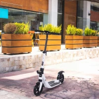 HOMCOM Trottinette pliable pour adultes adolescents à partir 14 ans hauteur guidon réglable double système d'absorption des chocs roues PU alu dim. 94 x 38 x 95-105 cm blanc(m-2)