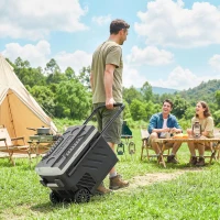 Outsunny Elektrische Auto-Kühlbox 40L mit Doppelzone, App-Steuerung, Teleskopgriff, -20℃ bis 20℃, Schwarz(m-6)