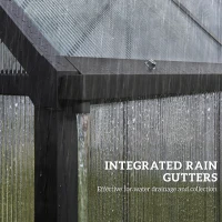 Outsunny Polycarbonate Greenhouse with Swing Door and Adjustable Window, Walk-in Greenhouse with Rain Gutter, 5.5 x 6ft, Black(m-9)