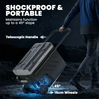 Outsunny Elektrische Auto-Kühlbox 40L mit Doppelzone, App-Steuerung, Teleskopgriff, -20℃ bis 20℃, Schwarz(m-4)