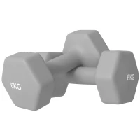 SPORTNOW Conjunto de 2 Halteres Hexagonais de 2 x 6 kg de Metal Revestidos em Plástico para Treino em Casa Ginásio 22x10x10 cm Cinzento(m-1)