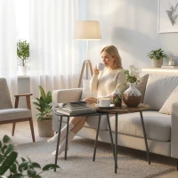 HOMCOM Nesting Side Table Set of 2 - Rustic Brown(m-8)