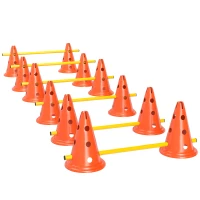 PawHut Conjunto de Agilidade para Cães 6 Peças, Percurso de Obstáculos com altura ajustável e Bolsa de Transporte, Laranja(m-1)