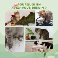 PawHut Copac pentru pisici de la podea la tavan, turn reglabil pe înălțime 225-255 cm pe mai multe nivele, acoperire din pluș, gri(m-4)