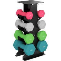 SPORTNOW Conjunto de Halteres 2x1kg 2x2kg 2x3kg 2x4kg com Suporte de Arrumação para Exercício e Treino Multicolor(m-1)