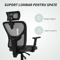 Vinsetto Scaun de birou ergonomic și reglabil cu suport lombar și tetieră, 66x61x106-116 cm, gri(m-8)