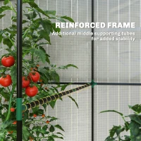 Outsunny Walk-in Greenhouse, Outdoor Tomato Greenhouse with Roll-up Door and Mesh Windows, PE Cover, 200 x 140 x 200cm, White(m-5)