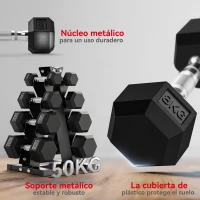 SPORTNOW Juego de Mancuernas 2x2kg 2x5kg 2x8kg 2x10kg con Soporte de Almacenamiento para Ejercicio Entrenamiento Negro(m-6)