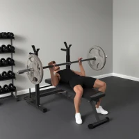 HOMCOM Banco de Musculación con Soporte para Barra y Estación de Dips Carga 220 kg para Entrenamiento en Casa Gimnasio(m-2)