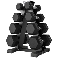 SPORTNOW Juego de Mancuernas 2x2kg 2x5kg 2x8kg 2x10kg con Soporte de Almacenamiento para Ejercicio Entrenamiento Negro(m-11)