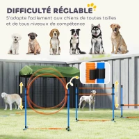 PawHut Ensemble d'Agilité pour Chien 11 Pièces, Parcours d'Obstacle avec 2 Tunnels, Sauts Ajustables, Orange et Bleu(m-6)