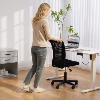 Vinsetto Computer Desk Chair, Armless Mesh Office Chair with Adjustable Height and Rolling Wheels, Black(m-7)