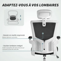 HOMCOM Chaise bureau ergonomique, fauteuil de bureau, accoudoirs relevables, soutien lombaire, appui-tête, 60x63x120cm, noir(m-5)