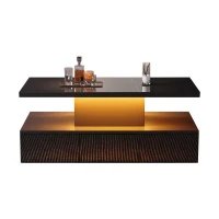 Tavolino da salotto a 2 livelli con luce LED a 16 colori, ripiano aperto e cassetto, 100x50x39 cm, Nero(m-2)