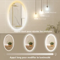 HOMCOM Miroir salle de bain avec éclairage 80 x 50 cm, miroir LED ovale, anti-buée, 3 couleurs lumière, dimmable, transparent(m-5)