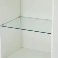 Vetrina per collezione con illuminazione LED e ripiano in vetro, 45x35x160 cm, Bianco(m-8)