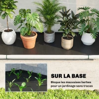 Outsunny Serre de Jardin Pliable et Portable, Petite Serre de Balcon en Bâche PE et Porte Zippée, 200 x 80 x 164 cm, Vert(m-6)