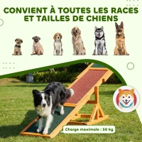 PawHut Agility sport pour chien bascule - bascule pour chien - équipement entrainement chien - bois pré-huilé feutre bitumé antidérapant brique vert(m-8)