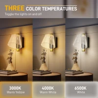 HOMCOM Led Wall Lamp 2 Pack, 5W Modern Indoor Starry Wall Light, Colour Temperature Adjustable 3000K/4000K/6500K, for Bedroom, Living Room, Hallway, Stairs, Black(m-4)