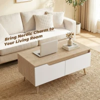 HOMCOM Mesa de Centro com 2 Gavetões e Pés de Madeira de Borracha 100x50x46 cm Carvalho(m-4)