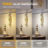 HOMCOM Led Wall Lamp 2 Pack, 9W Modern Indoor Geometric Mesh Wall Light, Colour Temperature Adjustable 3000K/4000K/6500K for Bedroom, Living Room, Hallway, Stairs, Gold Tone(m-4)