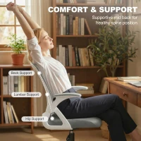 HOMCOM Painting Chair, Mesh Computer Desk Chair with Flip-up Armrests, Grey(m-6)