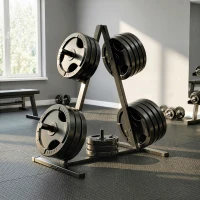 SPORTNOW Gewichtsstandaard voor 2,5 cm gewichtsschijven, 200 kg capaciteit, gewichtsstandaard(m-2)