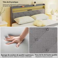 HOMCOM Cadre de lit 140 x 190 cm avec sommier acier, lit 2 personnes flottant avec lumières LED RGB et station de charge, gris(m-7)