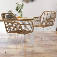 HOMCOM Lot de 2 chaises fauteuils de salle à mager design bohème assise en résine tressée piètement en acier blanc(m-10)