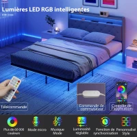HOMCOM Cadre de lit 140 x 190 cm avec sommier acier, lit 2 personnes flottant avec lumières LED RGB et station de charge, gris(m-5)