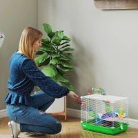 PawHut Cage à hamster rongeur 2 niveaux avec tunnel, biberon eau, roue, maisonnette, échelles 46 x 30 x 37 cm vert(m-9)