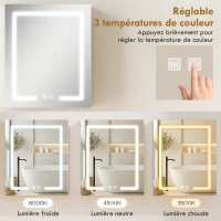HOMCOM Armoire murale salle de bain avec miroir et éclairage LED, anti-buée, étagères réglables, 50 x 15 x 60 cm, blanc(m-4)
