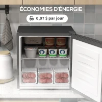 HOMCOM Mini congélateur Température Réglable de -14 à -24°C Compact 35L - Porte réversible Classe E - 47x44,2x48,8cm - Gris(m-9)