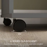 HOMCOM Armoire penderie meuble de rangement mobile 6 roulettes 120 x 40 x 128 cm en bois gris(m-6)