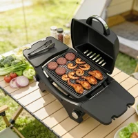 Outsunny 2 Burner Gas Grill with 2 Detachable Side Tables, 3.8 KW Steel Barbecue Grill with Cast Iron Grates, Lid, Thermometer(m-9)