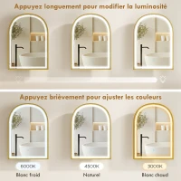 HOMCOM Armoire murale salle de bain avec miroir et éclairage LED, porte arquée, anti-buée, 50x14,5x70cm, doré(m-5)