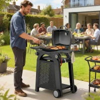 Outsunny 2 Burner Gas Grill with 2 Side Tables, 3.8 KW Barbecue Grill with Cast Iron Grates, 2-in-1 Tabletop BBQ with Wheels(m-2)