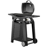Outsunny 2 Burner Gas Grill with 2 Side Tables, 3.8 KW Barbecue Grill with Cast Iron Grates, 2-in-1 Tabletop BBQ with Wheels(m-11)