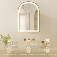 HOMCOM Armoire murale salle de bain avec miroir et éclairage LED, porte arquée, anti-buée, 50x14,5x70cm, doré(m-4)