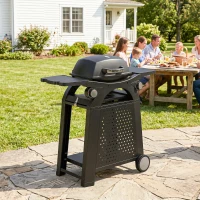 Outsunny 2 Burner Gas Grill with 2 Side Tables, 3.8 KW Barbecue Grill with Cast Iron Grates, 2-in-1 Tabletop BBQ with Wheels(m-9)
