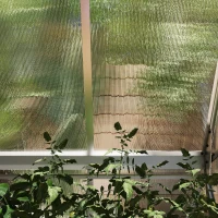 Outsunny Polycarbonate Greenhouse, Large Walk-In Green House with Slide Door and Window, Aluminium Frame, 6x4ft, Silver Tone(m-10)