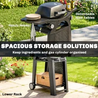 Outsunny 2 Burner Gas Grill with 2 Side Tables, 3.8 KW Barbecue Grill with Cast Iron Grates, 2-in-1 Tabletop BBQ with Wheels(m-7)