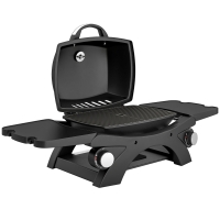 Outsunny 2 Burner Gas Grill with 2 Detachable Side Tables, 3.8 KW Steel Barbecue Grill with Cast Iron Grates, Lid, Thermometer