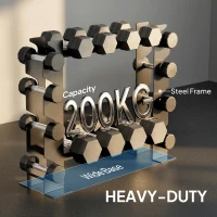 SPORTNOW 4-Tier Dumbbell Rack, Heavy-Duty Weight Rack for Dumbbells, Kettlebells and Multiple Balls, 200 KG Capacity, Black(m-7)