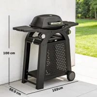 Outsunny 2 Burner Gas Grill with 2 Side Tables, 3.8 KW Barbecue Grill with Cast Iron Grates, 2-in-1 Tabletop BBQ with Wheels(m-3)