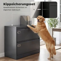 HOMCOM Rollcontainer mit 2 Schubladen abschließbar Aktenschrank mit verstellbarem Hängeregistratur 90 x 40 x 77,4 cm Schwarz(m-8)