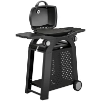Outsunny 2 Burner Gas Grill with 2 Side Tables, 3.8 KW Barbecue Grill with Cast Iron Grates, 2-in-1 Tabletop BBQ with Wheels(m-1)