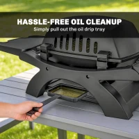 Outsunny 2 Burner Gas Grill with 2 Detachable Side Tables, 3.8 KW Steel Barbecue Grill with Cast Iron Grates, Lid, Thermometer(m-7)